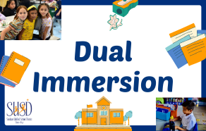  Dual Immersion